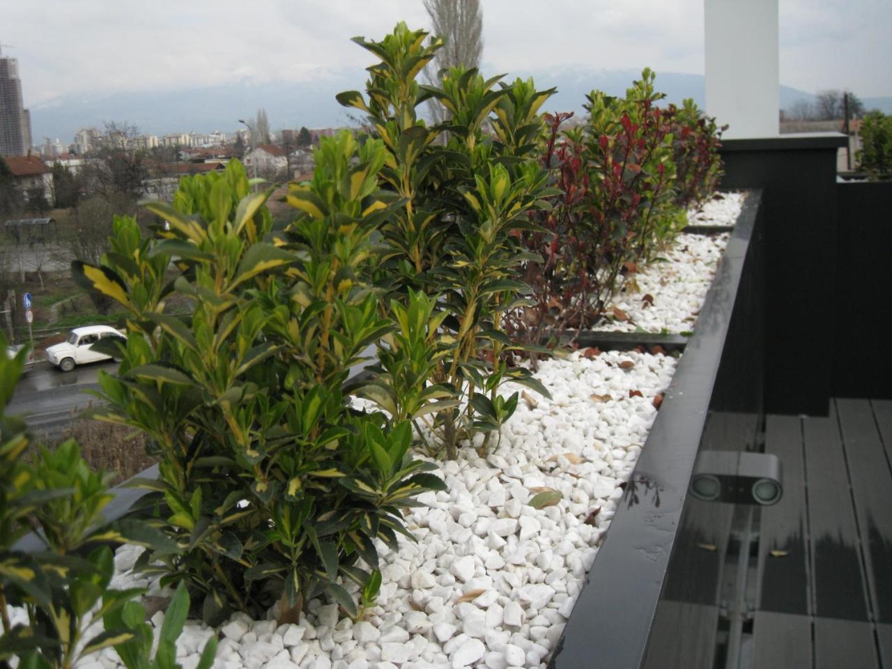 Domus Aparthotel สโกเปีย ภายนอก รูปภาพ